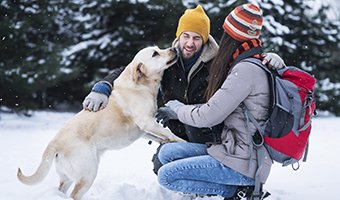 Couple with a dog playing in the snow.