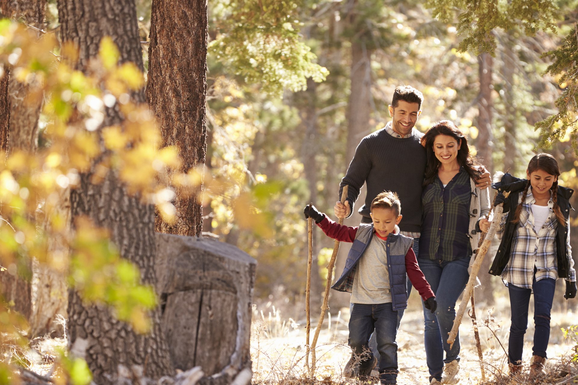 A family walking in the woods.